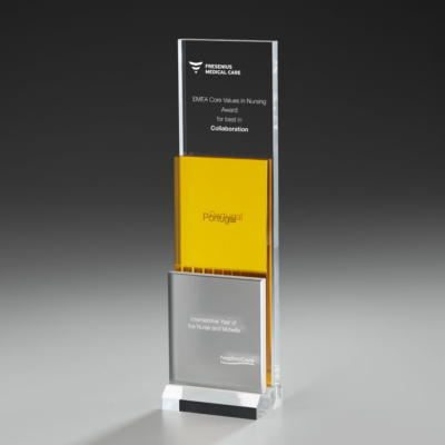 Golden Step Award
