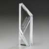 Perception Award