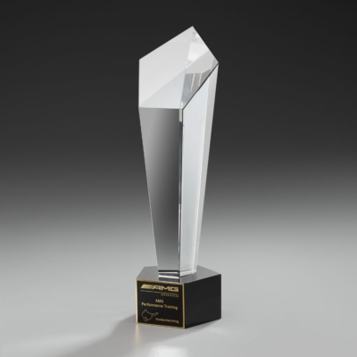 Fortress Award