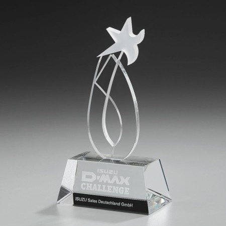 Dynamic Ice Award