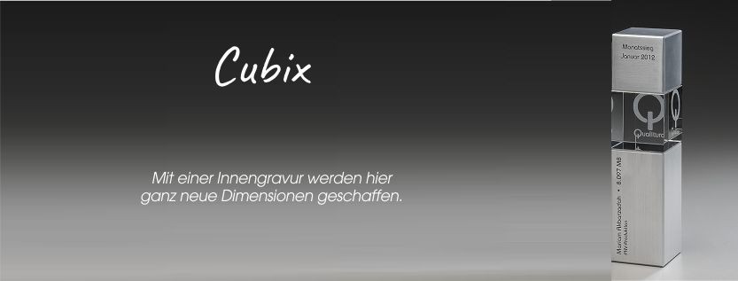 Artic Cubix
